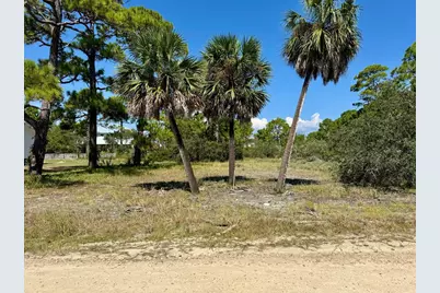 989 W Bay Shore Dr, Saint George Island, FL 32328 - Photo 1