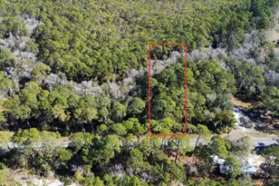 1863 Bluff Rd, Apalachicola, FL 32320 - Photo 1
