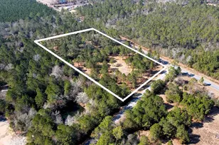 Tbd Luke Ford Rd, Wewahitchka, FL 32465 - Photo 1