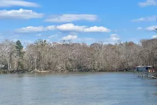 2377 Chipola River, Wewahitchka, FL 32465 - Photo 1