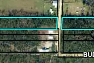 Lot 42 Buddy Floore Rd, Wewahitchka, FL 32465 - Photo 1