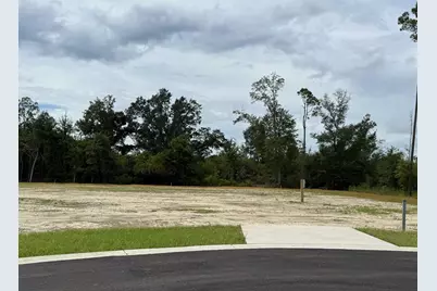199 Kiera Ct, Wewahitchka, FL 32465 - Photo 1