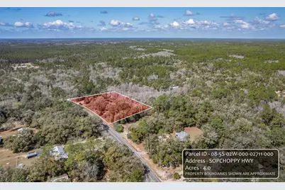 Lot 0 Sopchoppy Hwy, Sopchoppy, FL 32358 - Photo 1