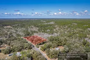 0 Sopchoppy Hwy, Sopchoppy, FL 32358 - Photo 1