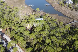 1909 Smugglers Cove Rd, Saint George Island, FL 32328 - Photo 1