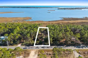 10550 Cr 30-A, Port Saint Joe, FL 32456 - Photo 1