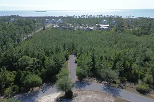 115 Shallow Reed Dr, Port Saint Joe, FL 32456 - Photo 1