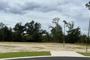 198 Kiera Ct, Wewahitchka, FL 32465 - Photo 1