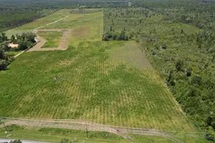 Lot 4 Hwy 71, Wewahitchka, FL 32465 - Photo 1