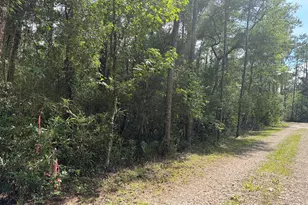 Lot 18 Pamela Pl, Sopchoppy, FL 32358 - Photo 1