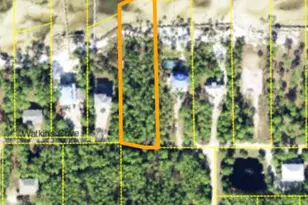1263 E Gulf Beach Dr, Saint George Island, FL 32328 - Photo 1