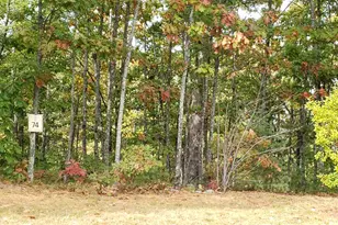 60 Lighthouse Cliffs Ave, Laconia, NH 03246 - Photo 1