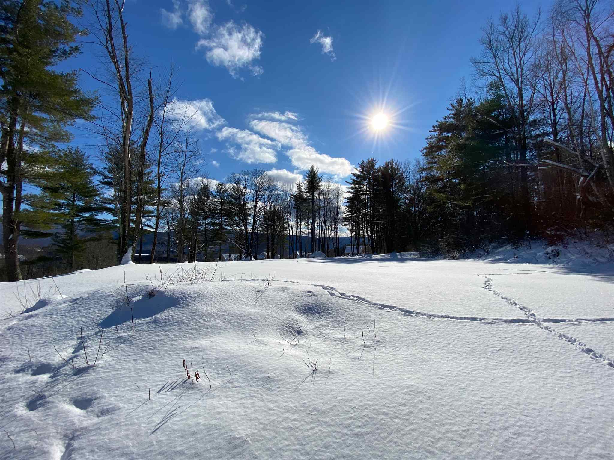 557 Partridge Hill Rd, Manchester, VT 05255 MLS 4842845 Coldwell Banker