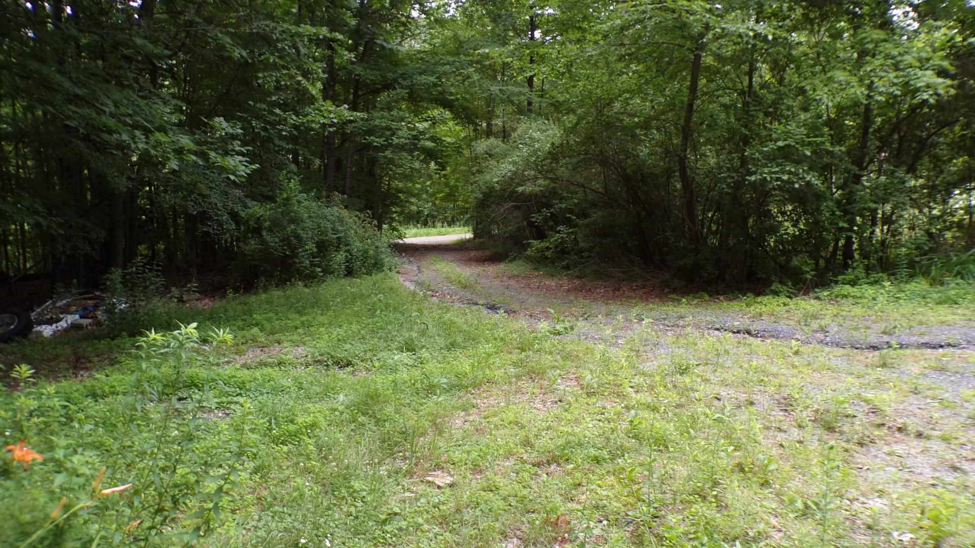 64 Walsh Rd, Sandgate, VT 05250 MLS 4871957 Coldwell Banker