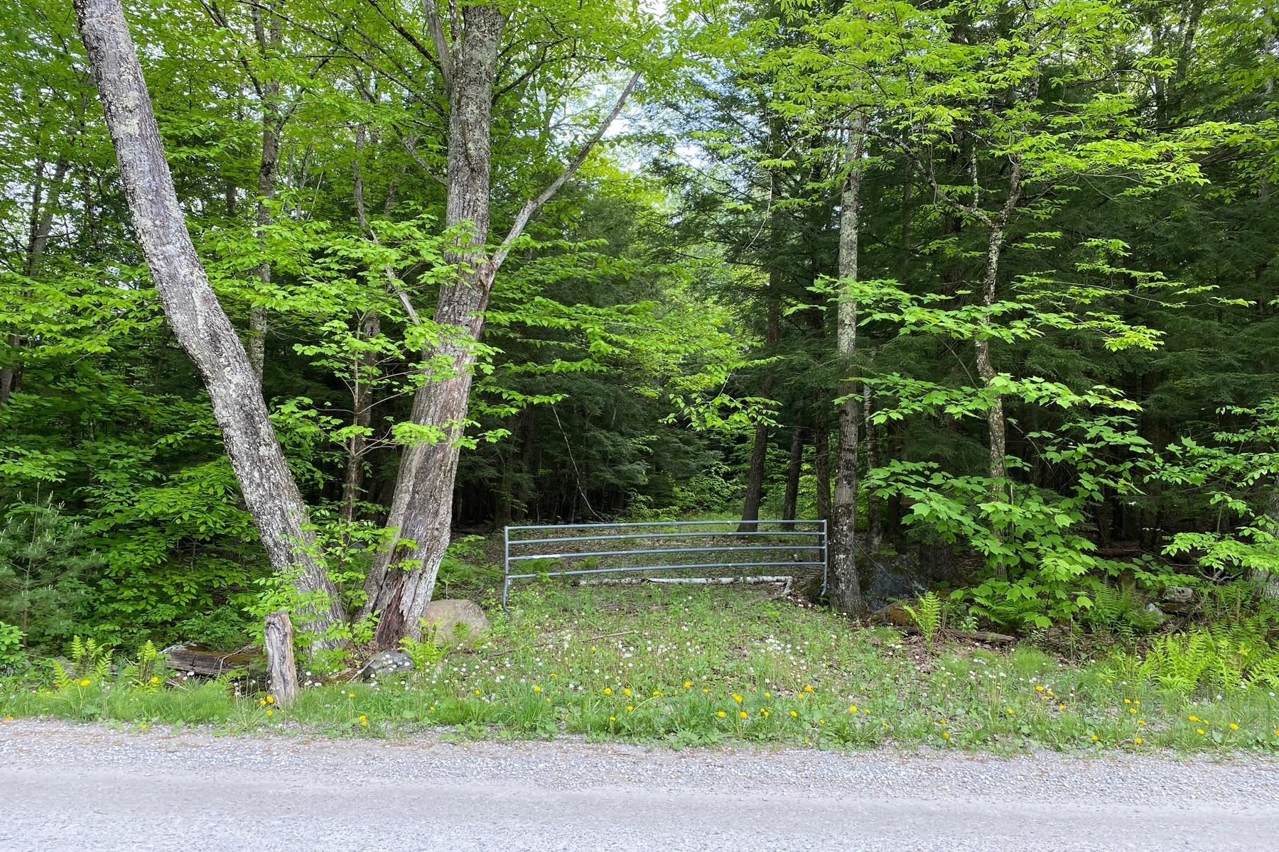 63 Beebe Hill Rd, Chittenden, VT 05737 MLS 4912357 Coldwell Banker