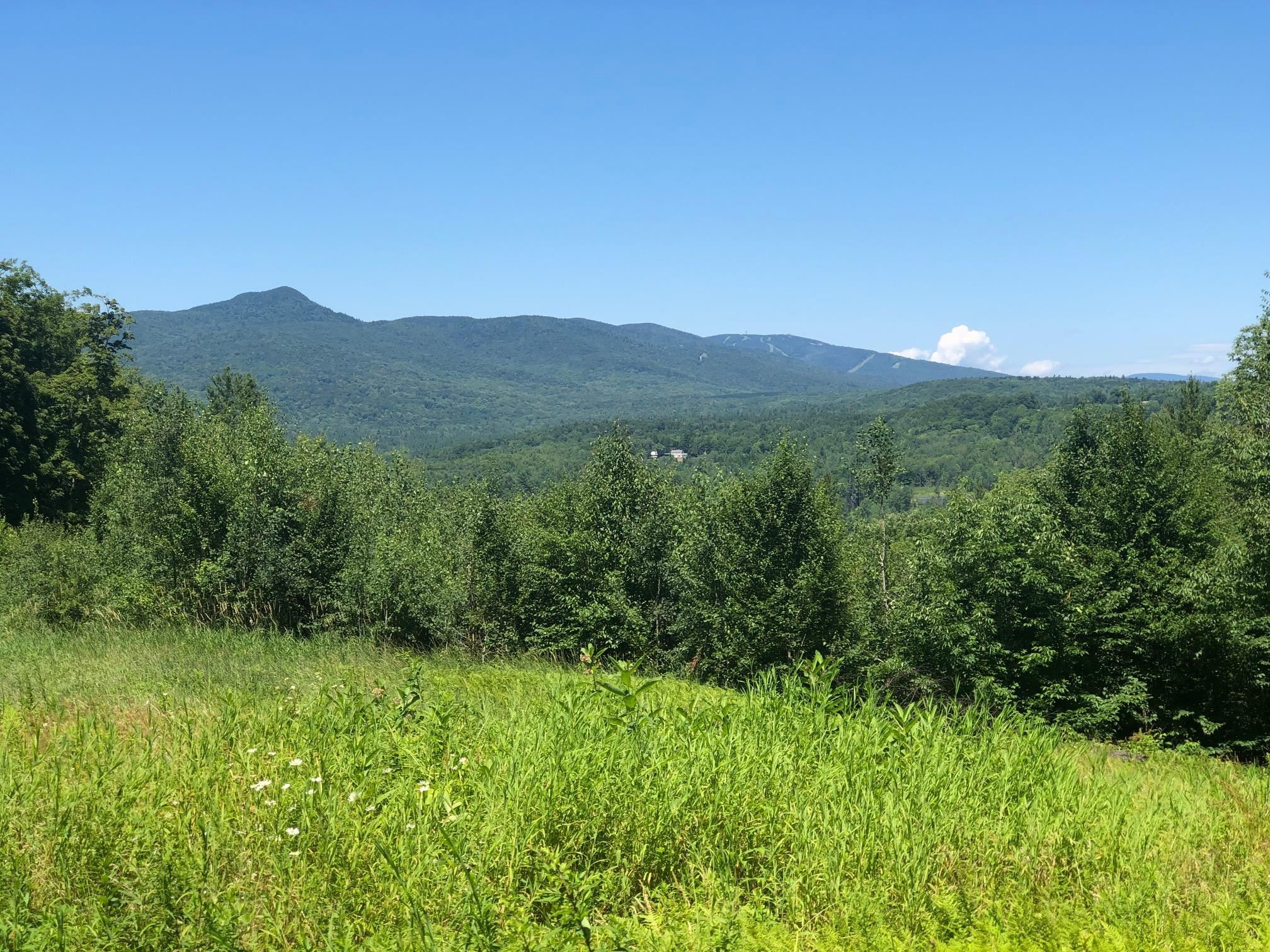 94 Boyd Hill Rd, Wilmington, VT 05363 MLS 4922217 Coldwell Banker