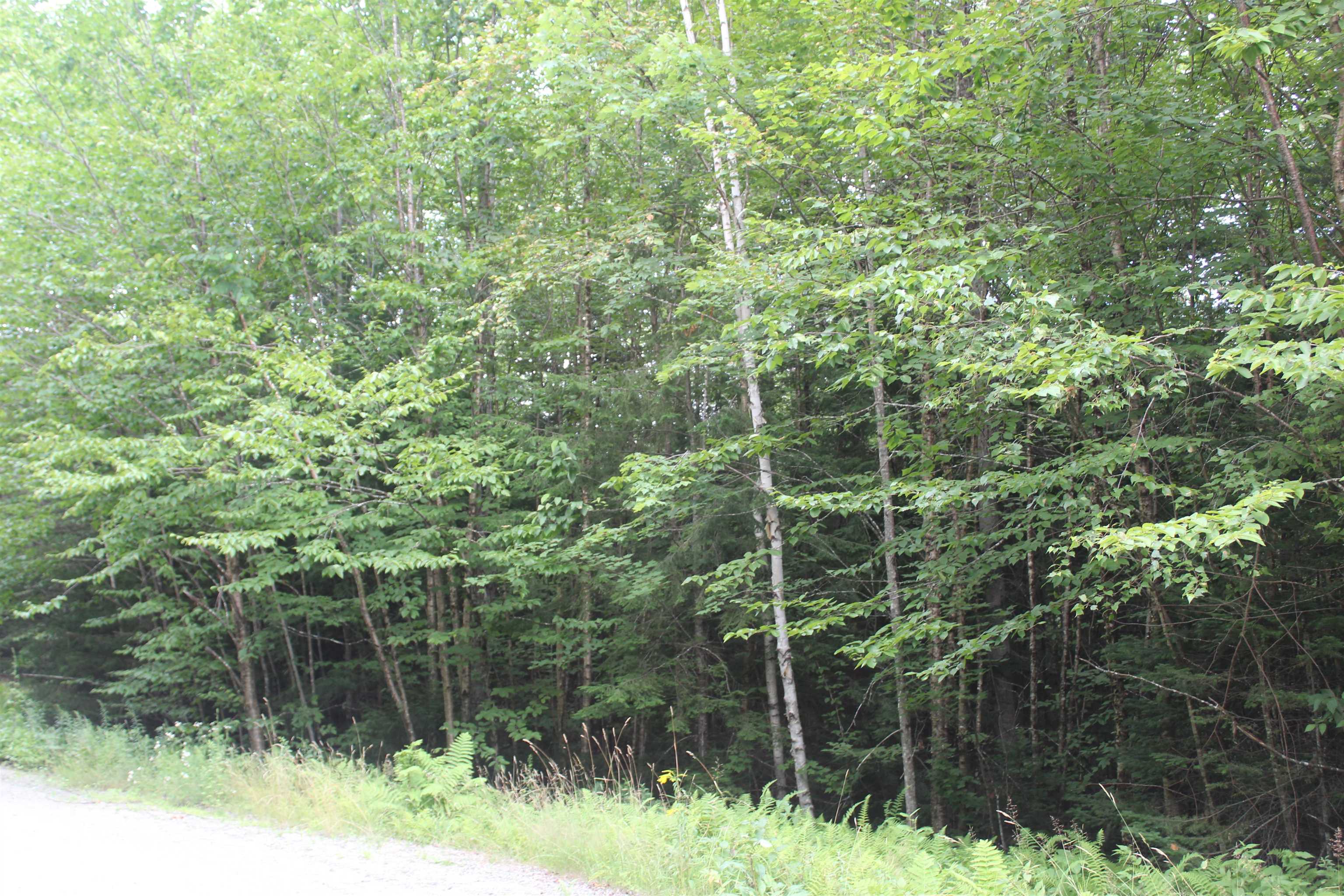 18 1 Mirror Lakes Estate Dr, Whitefield, NH 03598 MLS 4923018