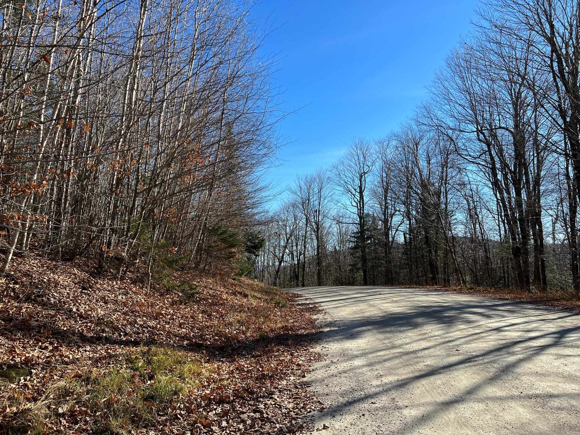  Granby Rd, Granby, VT 05840 MLS 4925879 Coldwell Banker