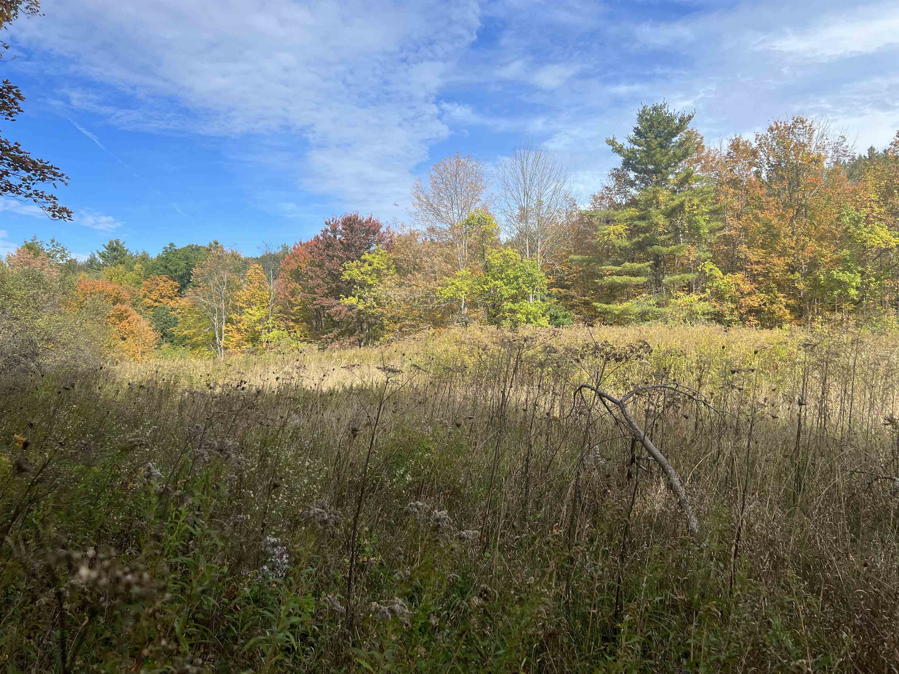 61 ster Rd parcel 2, Hartland, VT 05048 MLS 4932708 Coldwell Banker