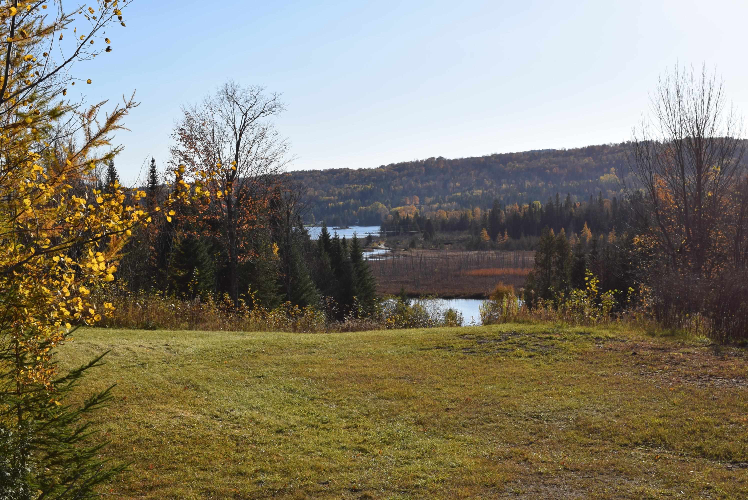 2175 Vt Route 15, Walden, VT 05873 MLS 4933894 Coldwell Banker