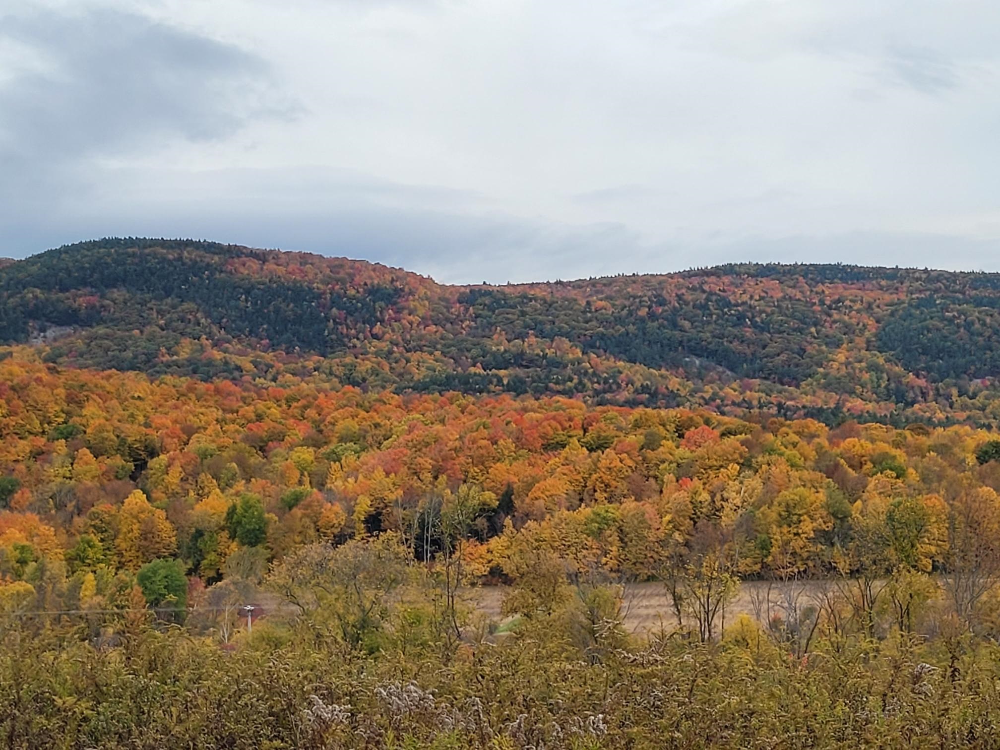 3568 Rte 116 4, Starksboro, VT 05487 MLS 4937174 Coldwell Banker