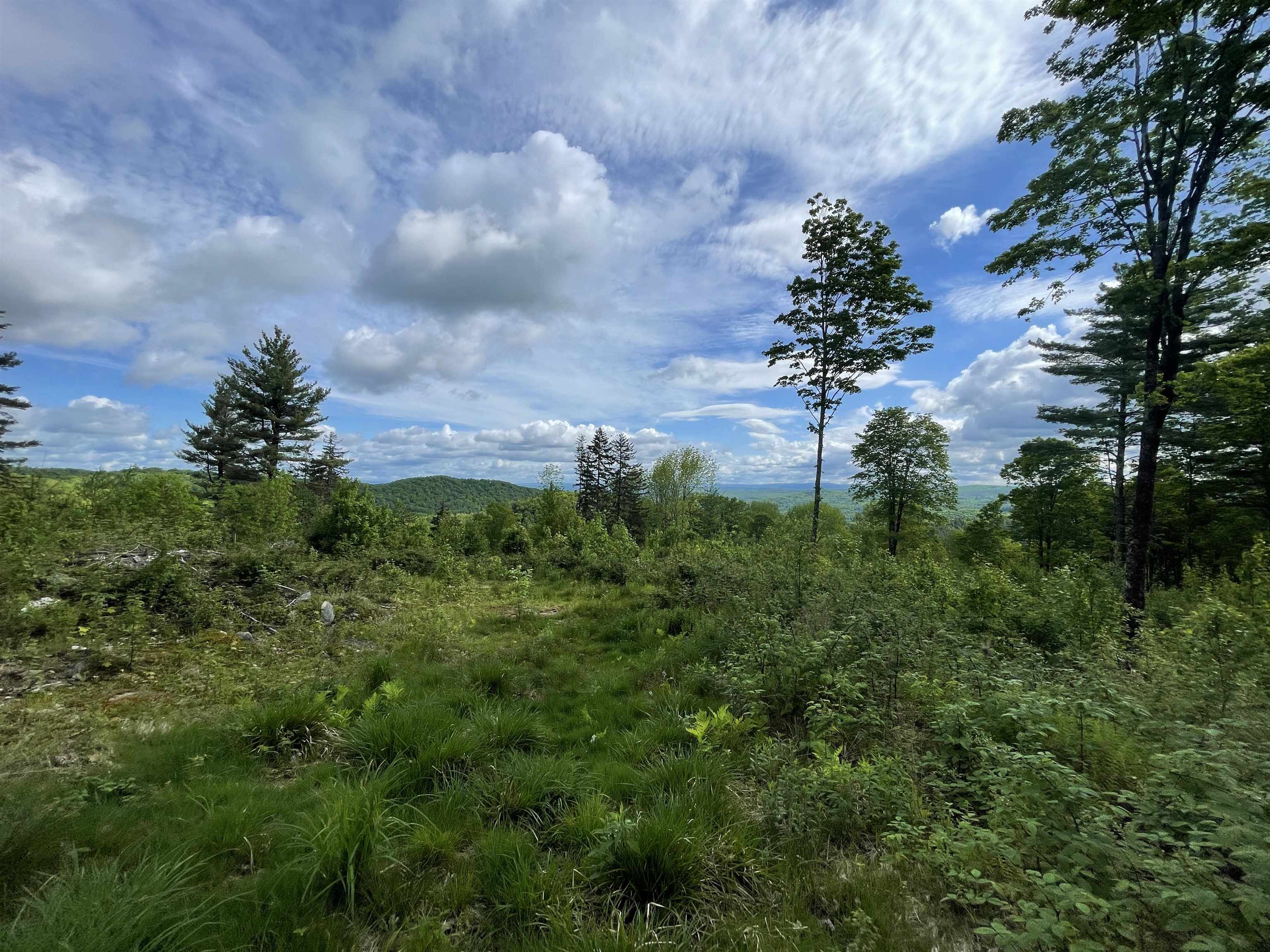 00 Mount Hunger Rd, Barnard, VT 05031 MLS 4941478 Coldwell Banker