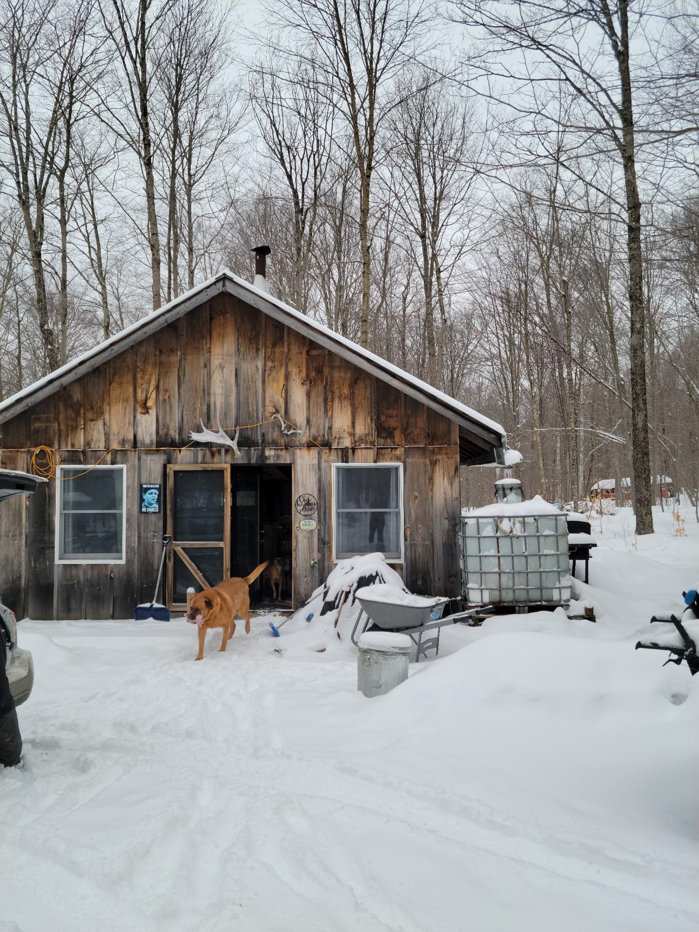 760 Valley View Dr, Eden, VT 05653 MLS 4944592 Coldwell Banker