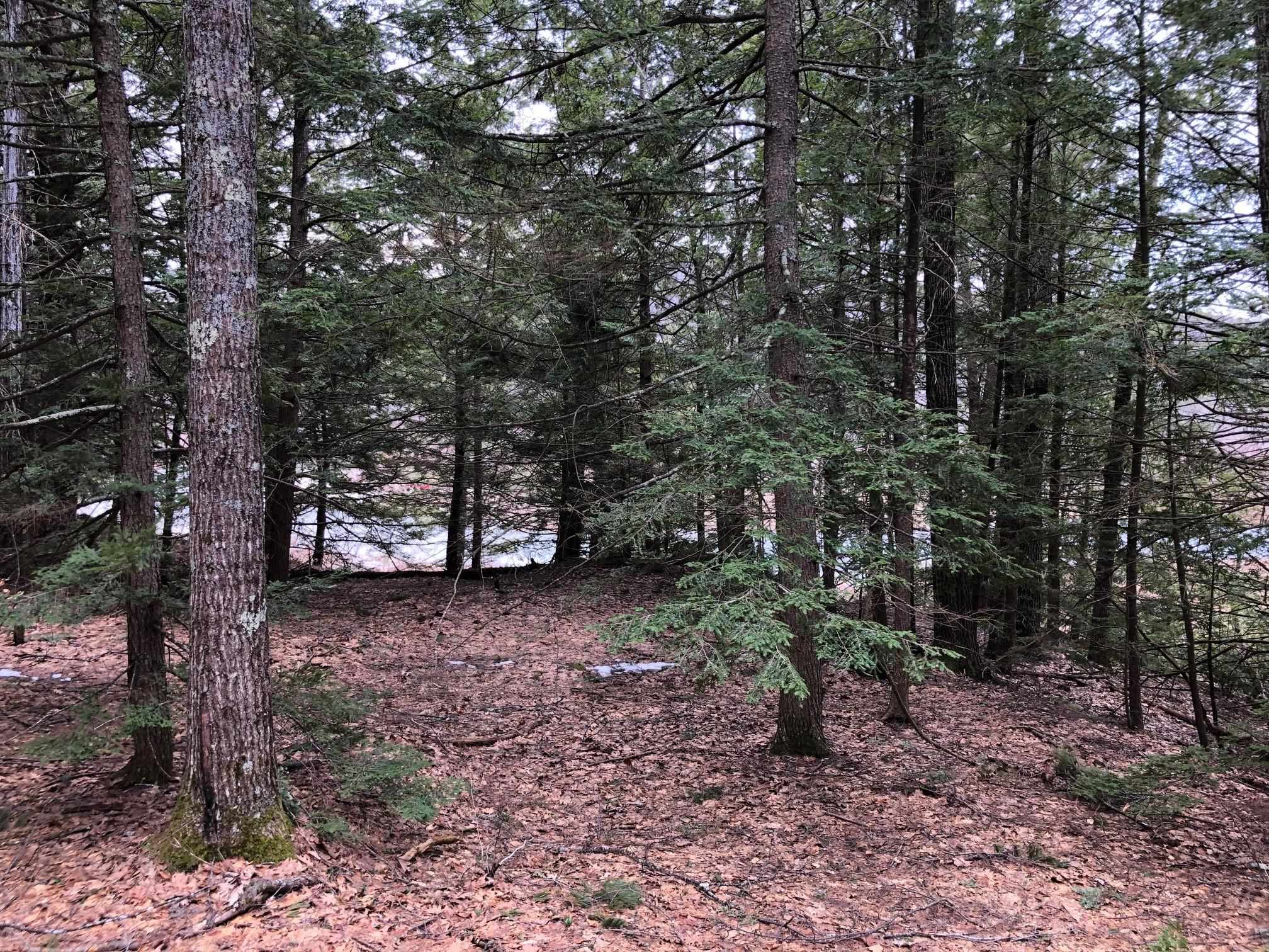 0 Quaker St, Deering, NH 03244 MLS 4948751 Coldwell Banker