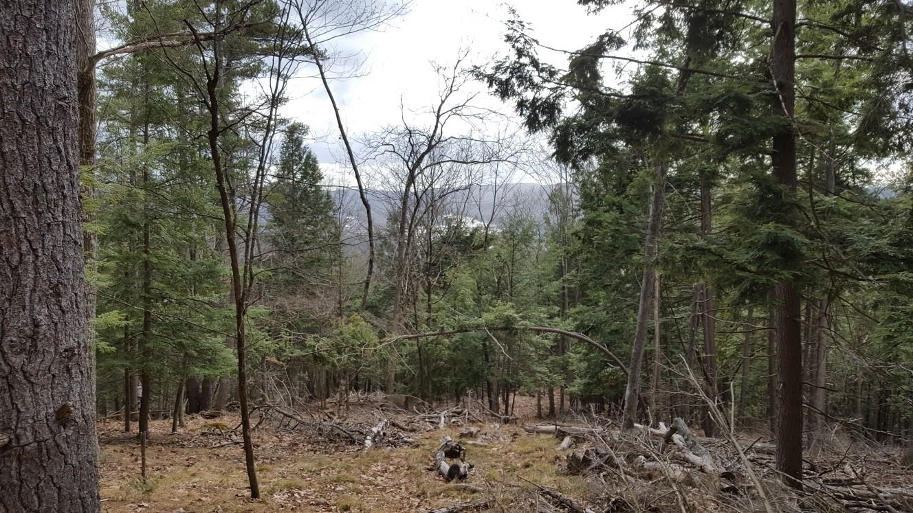 1 Daggett Hill Rd, Westmoreland, NH 03467 MLS 4951763 Coldwell Banker