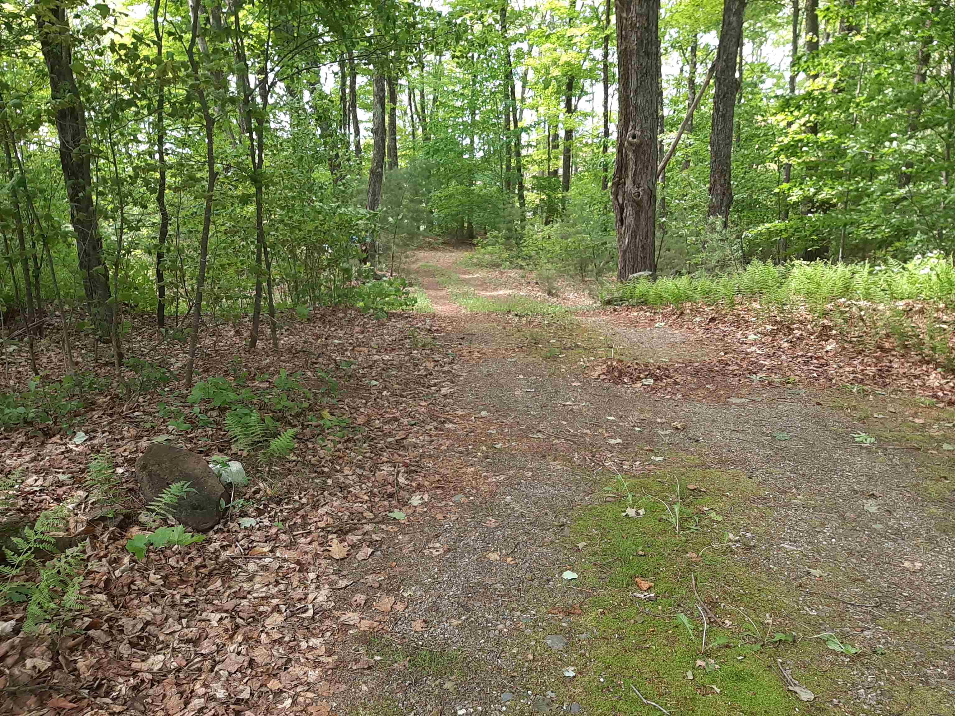 637 Sam Putnam Rd, Charlestown, NH 03603 MLS 4956374 Coldwell Banker