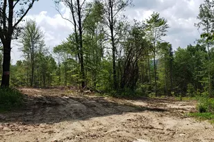 367 Height of Land Rd, Grafton, NH 03740 - Photo 1