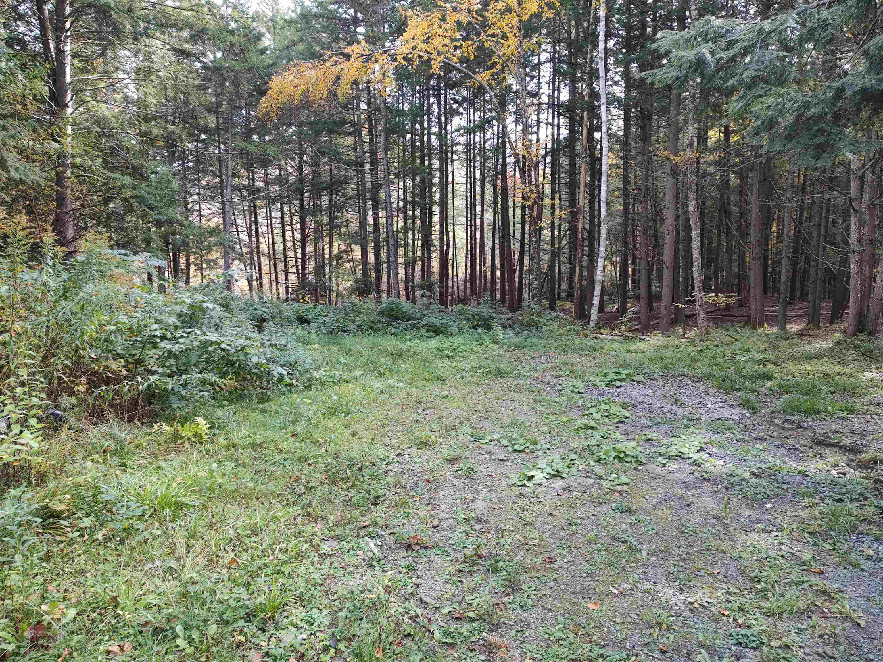 156 Jonesville Rd, Braintree, VT 05060 MLS 4973716 Coldwell Banker