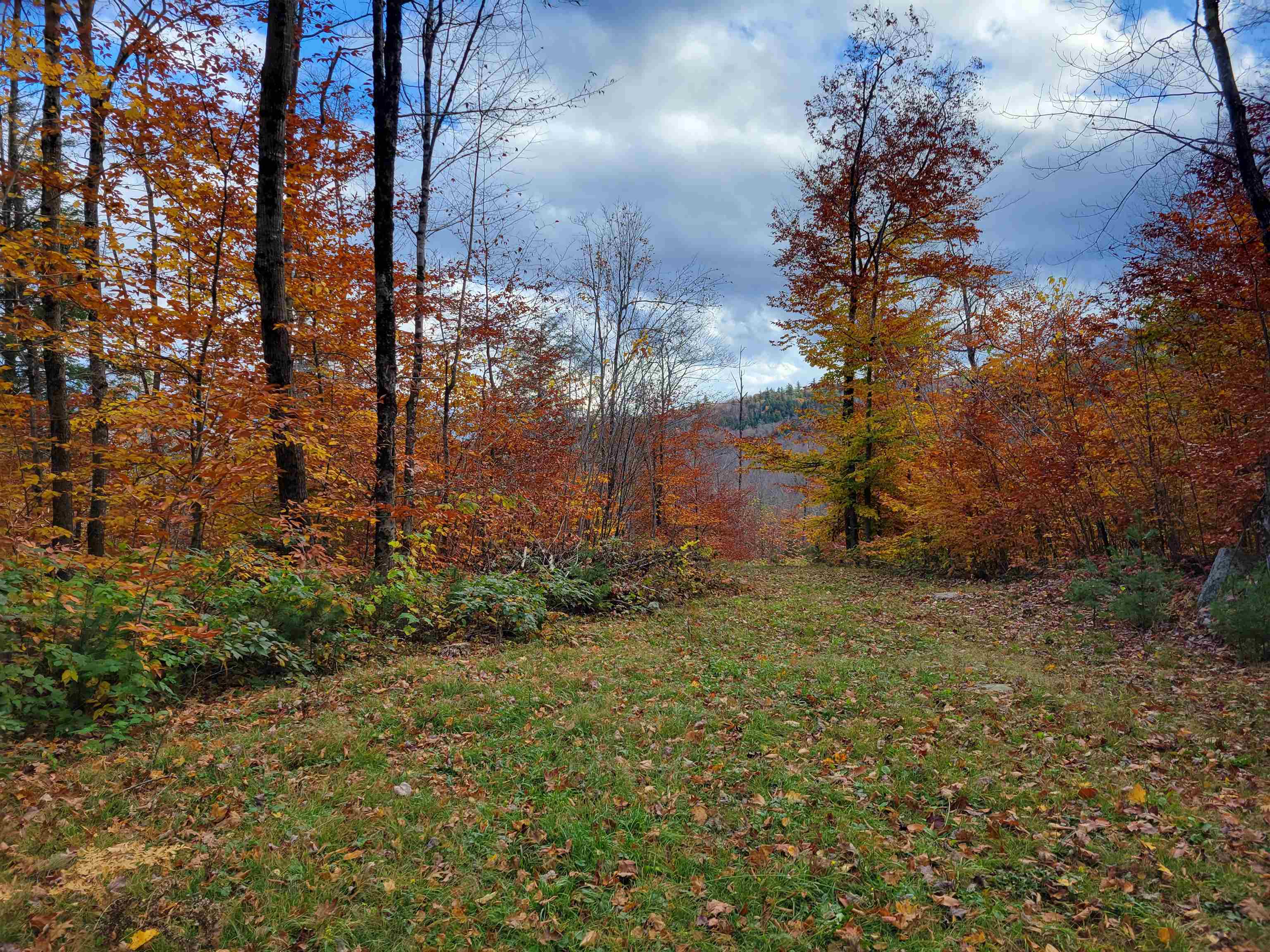 Jericho Rd, Bartlett, NH 03812 MLS 4976016 Coldwell Banker