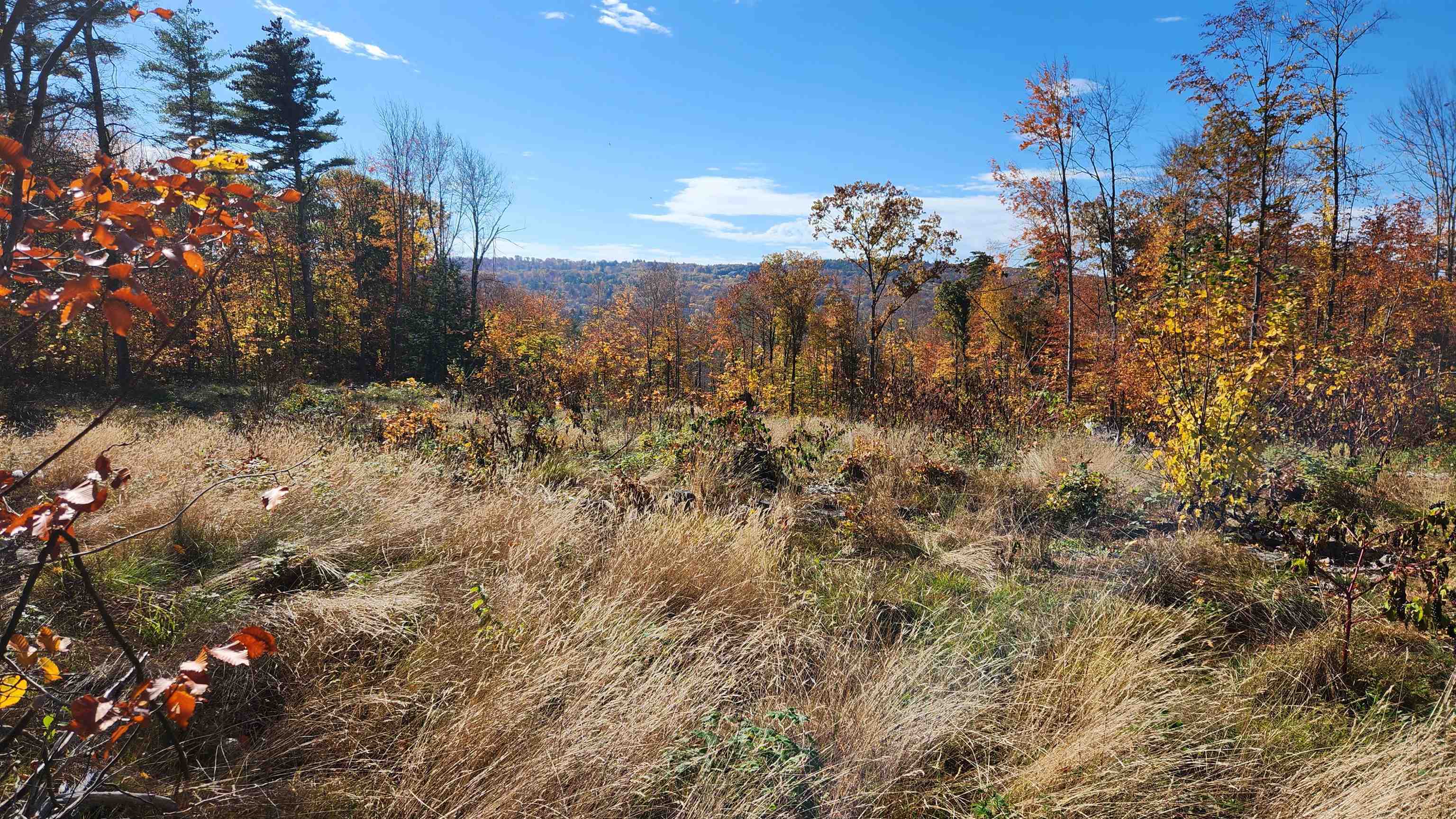 Tbd Old Bay Rd, New Durham, NH 03855 MLS 4978590 Coldwell Banker