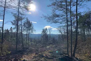 Map3 Lot9-1 Scotland Rd, Winchester, NH 03470 - Photo 1