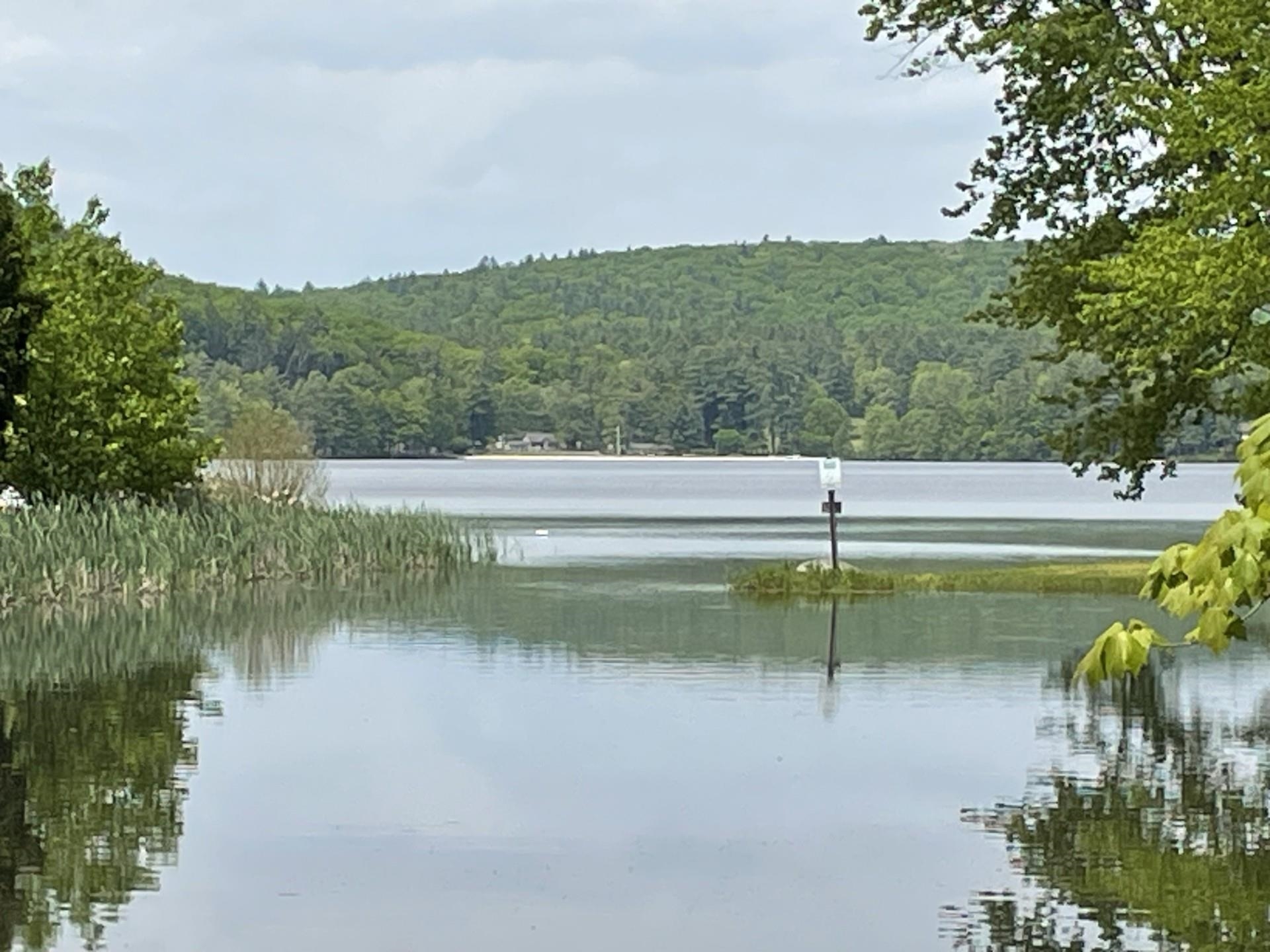 20 E Shore Rd, Swanzey, NH 03446 MLS 4997062 Coldwell Banker