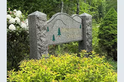 41 Winchester Lane, Tuftonboro, NH 03816 - Photo 1