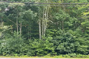 Lakeshore Dr, Middleton, NH 03887 - Photo 1