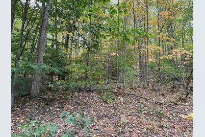 Lot 156 New Hampshire Drive #156, Webster, NH 03303 - Photo 1