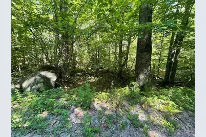 00 Whitney Road #132, Henniker, NH 03242 - Photo 1