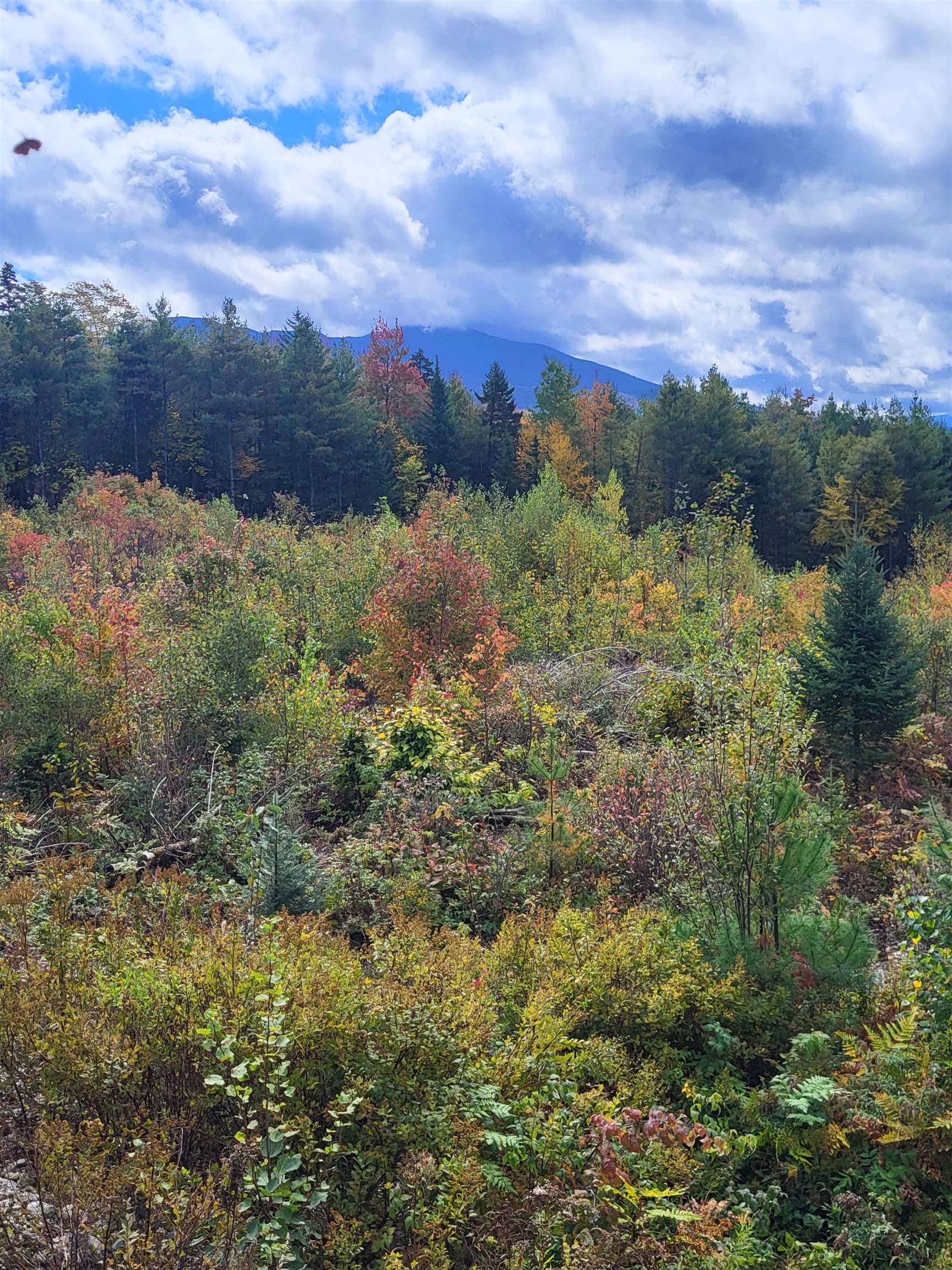 207 McKenzie Woods Rd, Franconia, NH 03580 - MLS 5016341 - Coldwell Banker