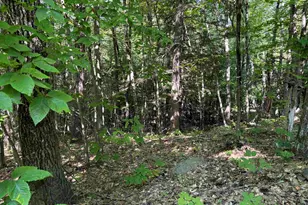 21 Circuit Rd, Ossipee, NH 03864 - Photo 1