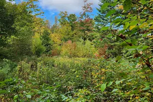 Off Groton North Rd, Groton, NH 03241 - Photo 1