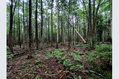 Off Ellsworth Hill Road, Campton, NH 03223 - Photo 1