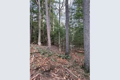 Bound Tree Road, Hopkinton, NH 03229 - Photo 1