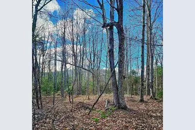 Lot 28 Knowles Hill Road West, Alexandria, NH 03222 - Photo 1