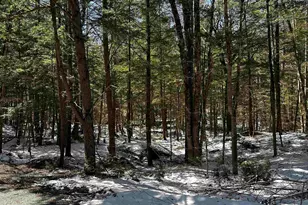 118 Pauls Pl, Enfield, NH 03748 - Photo 1