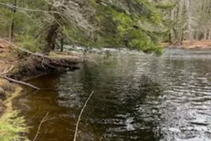 116 Clothespin Bridge Rd, Webster, NH 03303 - Photo 1