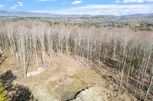 151 Woodland Heights Rd, Springfield, NH 03284 - Photo 1