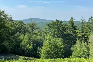 000 Stonegate Farm Rd, Temple, NH 03084 - Photo 1